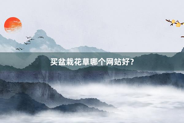 买盆栽花草哪个网站好？