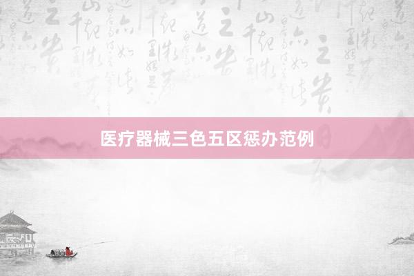 医疗器械三色五区惩办范例